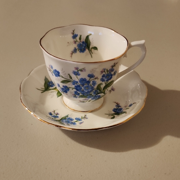 Royal Albert Bone China Forget-Me-Not Floral Teacup & Saucer Set - Picture 1 of 10